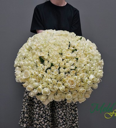 303 White Roses 50-60 cm (On order 5 days) photo 394x433